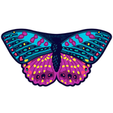 Butterfly Cape Kids Dress Up Dance Costume Pink Monarch Wings