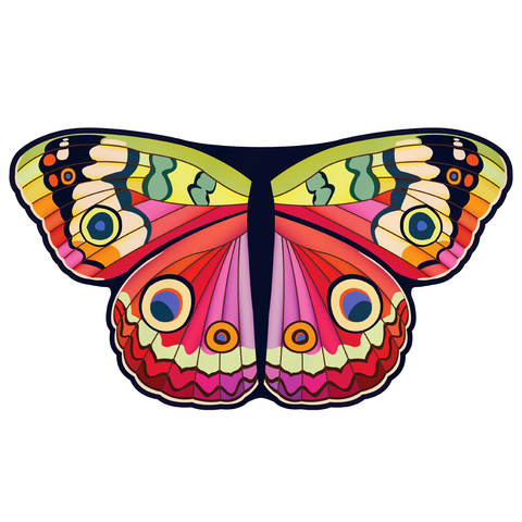 Colorful butterfly cape spread out on white background